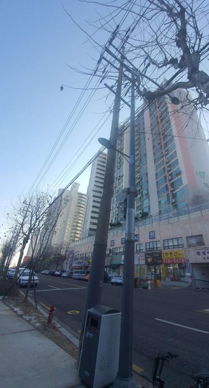 컨텐츠파일