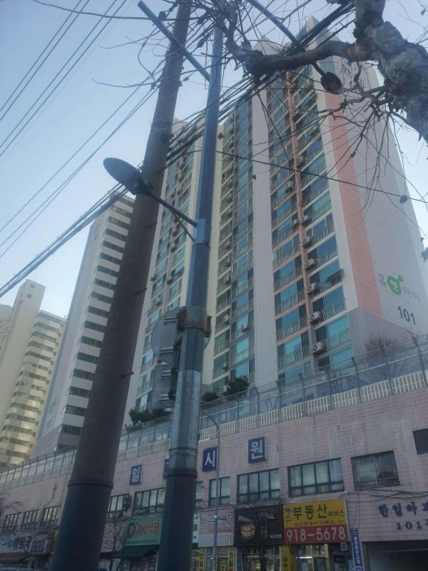 컨텐츠파일