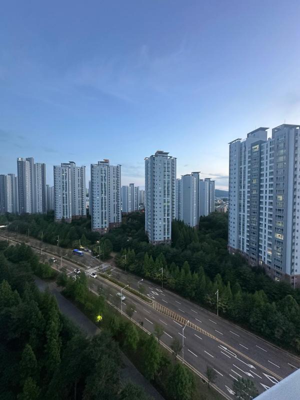 컨텐츠파일