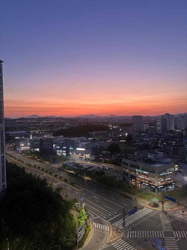 컨텐츠파일
