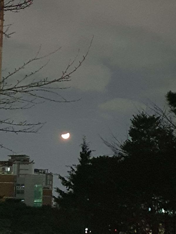 달이 반달인데도 샛노랗게 예뻐요.^^ | KB부동산