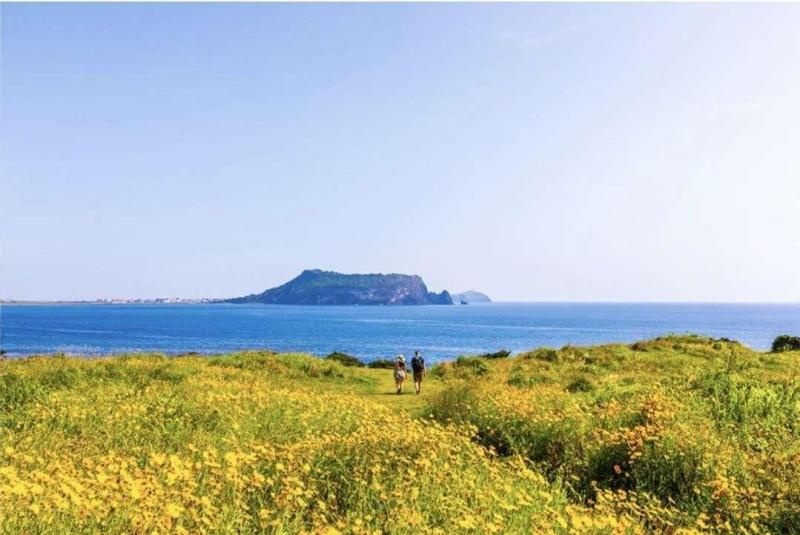 제주 | KB부동산
