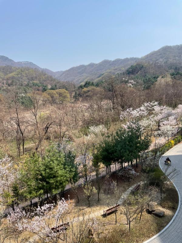 그린파크