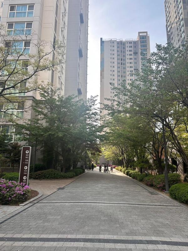 짱구