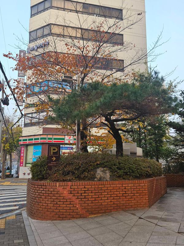 컨텐츠파일