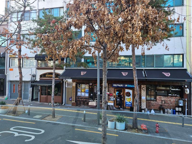 컨텐츠파일