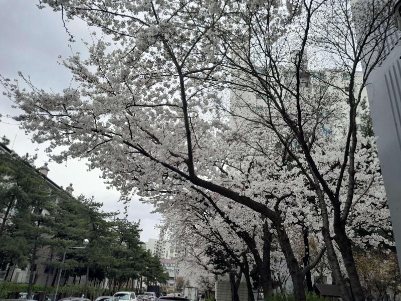 컨텐츠파일