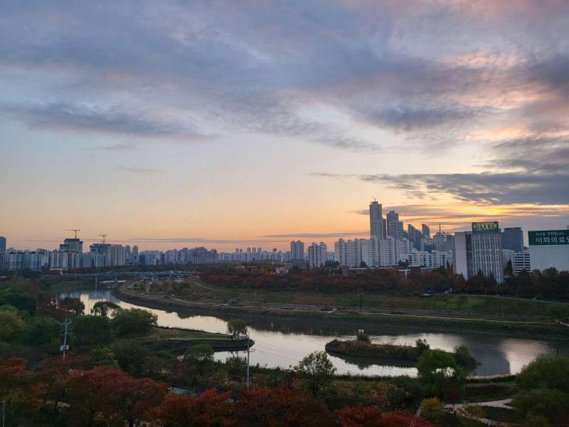 컨텐츠파일