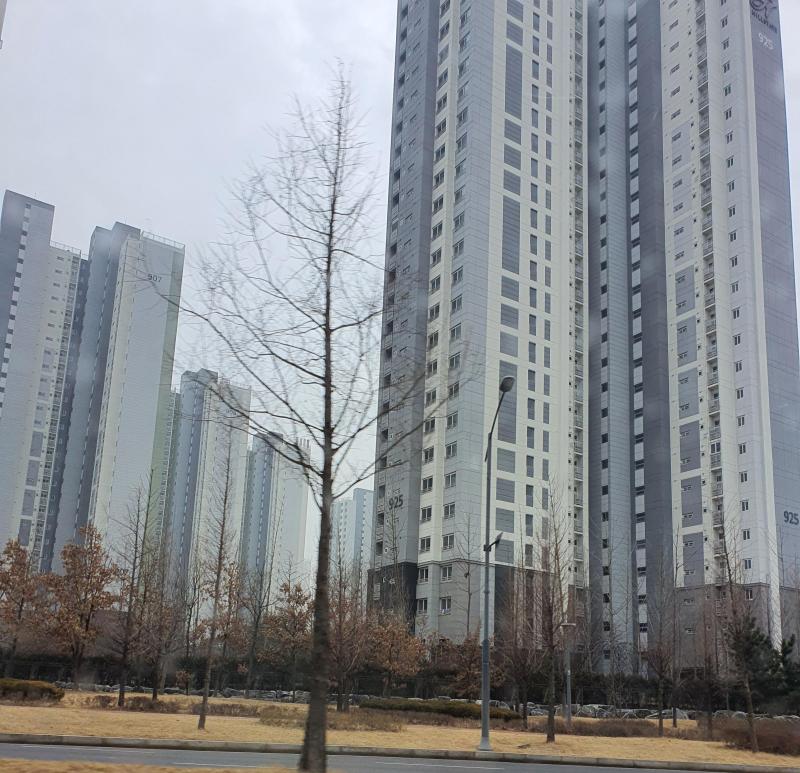 안뇨용