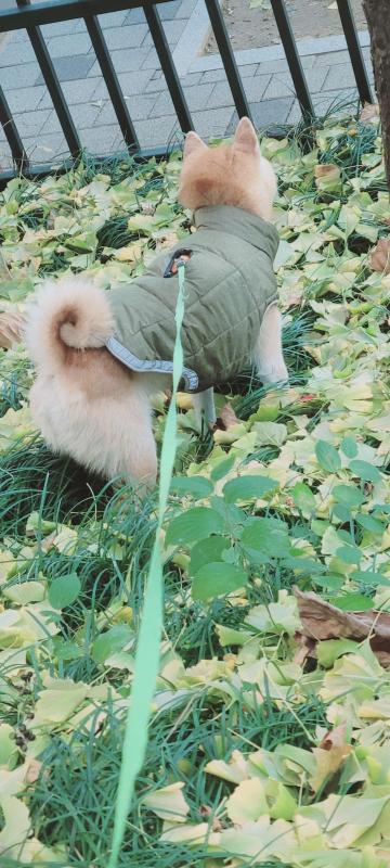 컨텐츠파일