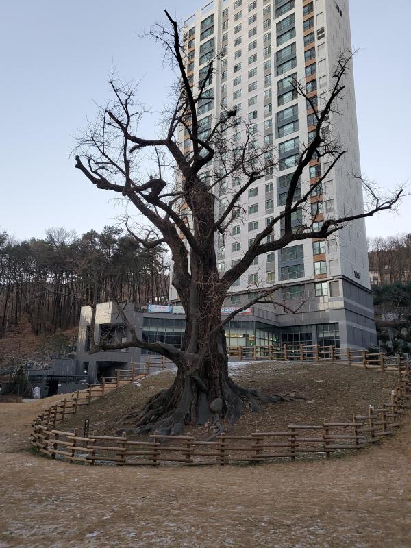 컨텐츠파일