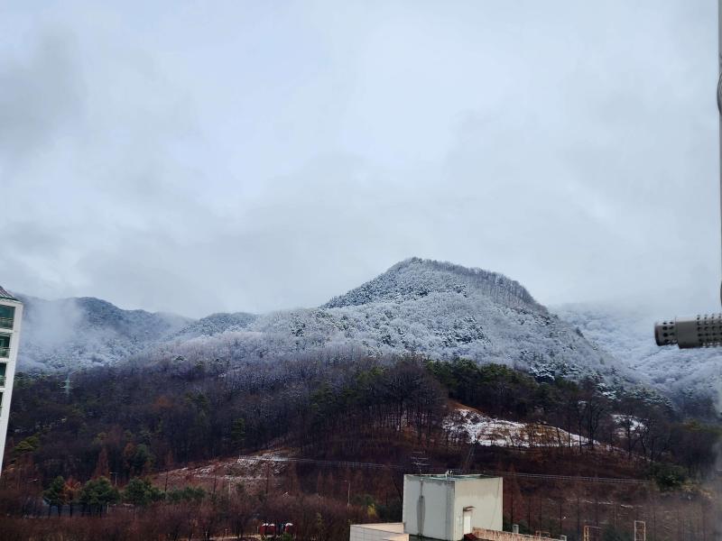 컨텐츠파일