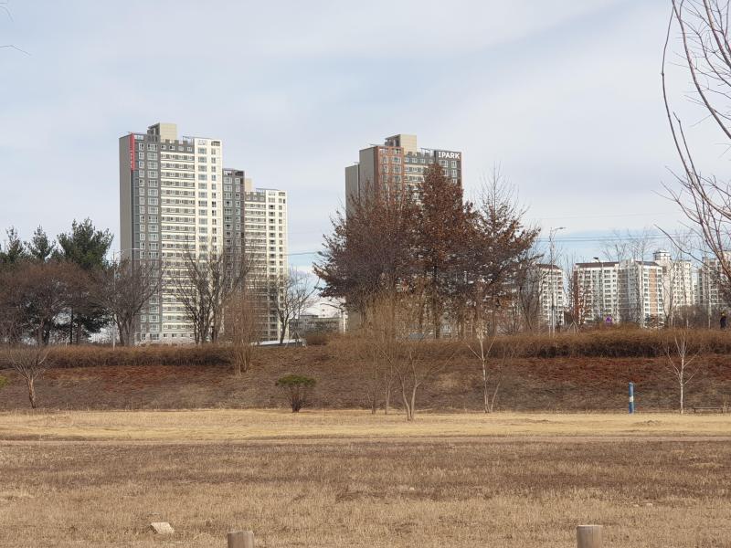 컨텐츠파일