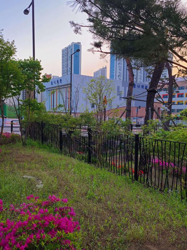 컨텐츠파일