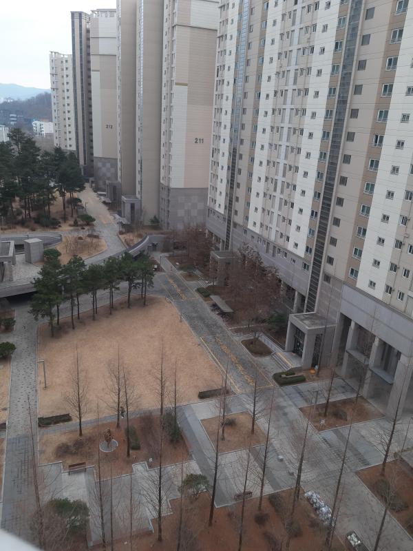 달싹이