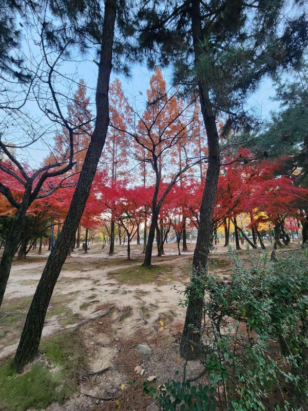 컨텐츠파일