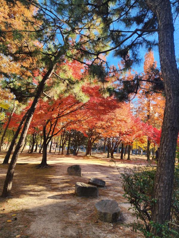 컨텐츠파일