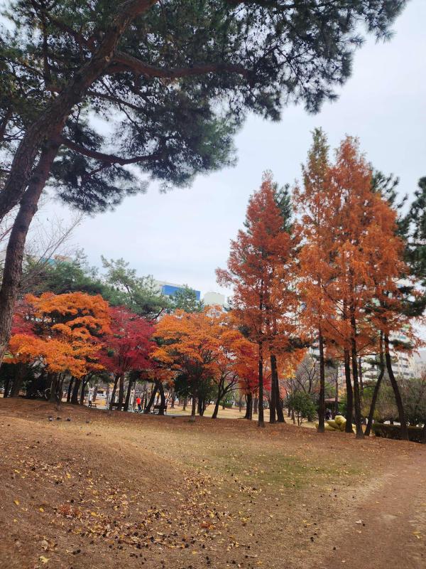 컨텐츠파일