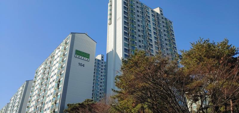 컨텐츠파일