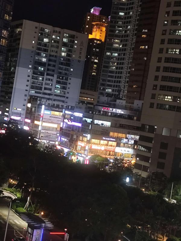 컨텐츠파일