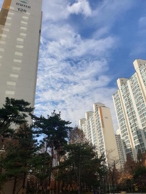 굿럭에이미