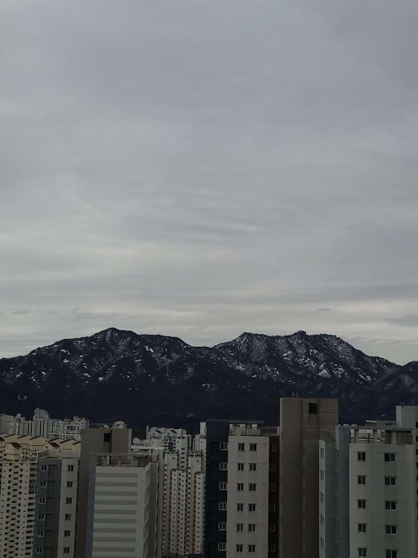 컨텐츠파일