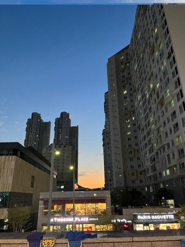 컨텐츠파일