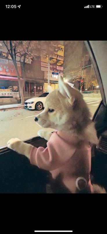 컨텐츠파일