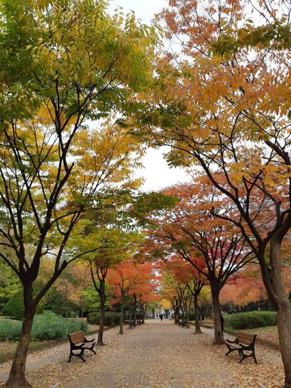 컨텐츠파일