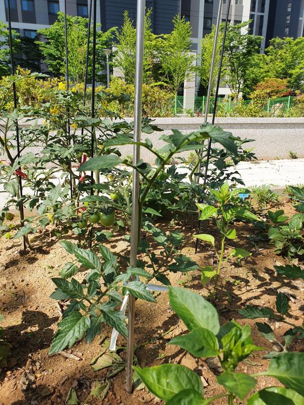컨텐츠파일