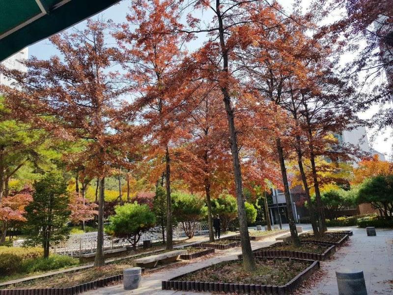 컨텐츠파일