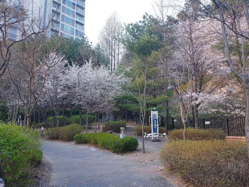 컨텐츠파일