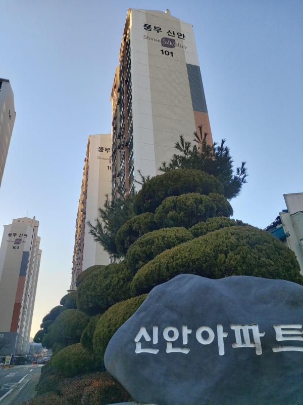 김진영