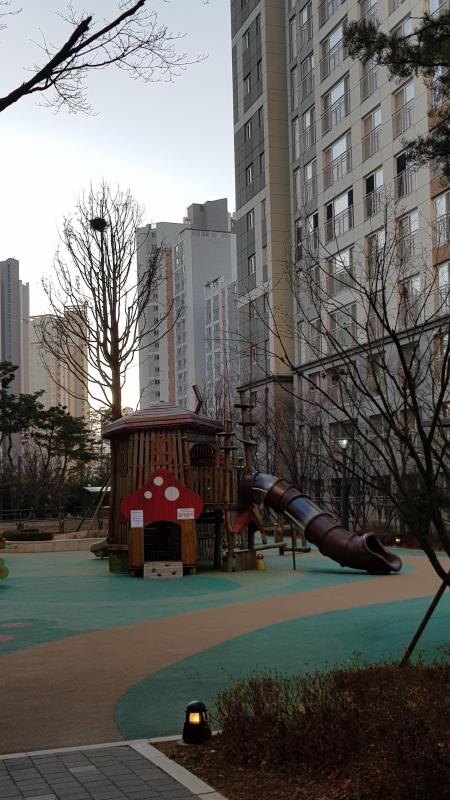 시은이모