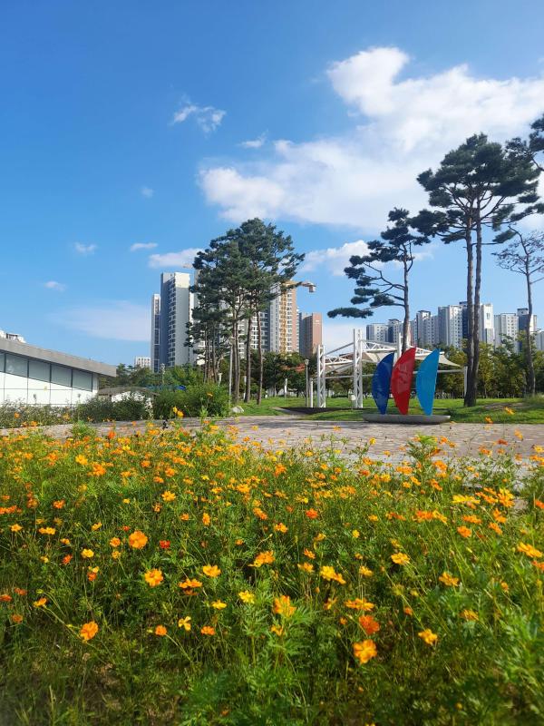 컨텐츠파일