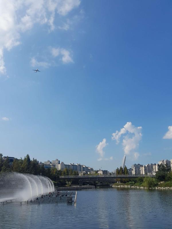 컨텐츠파일