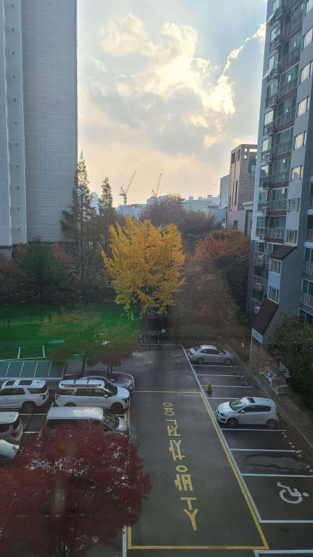 모네러버