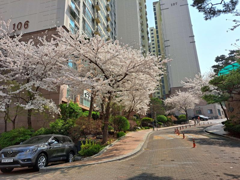컨텐츠파일