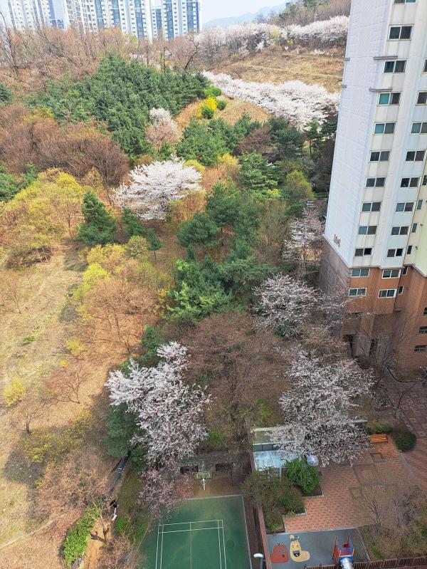 컨텐츠파일