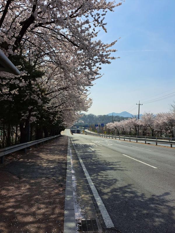 컨텐츠파일
