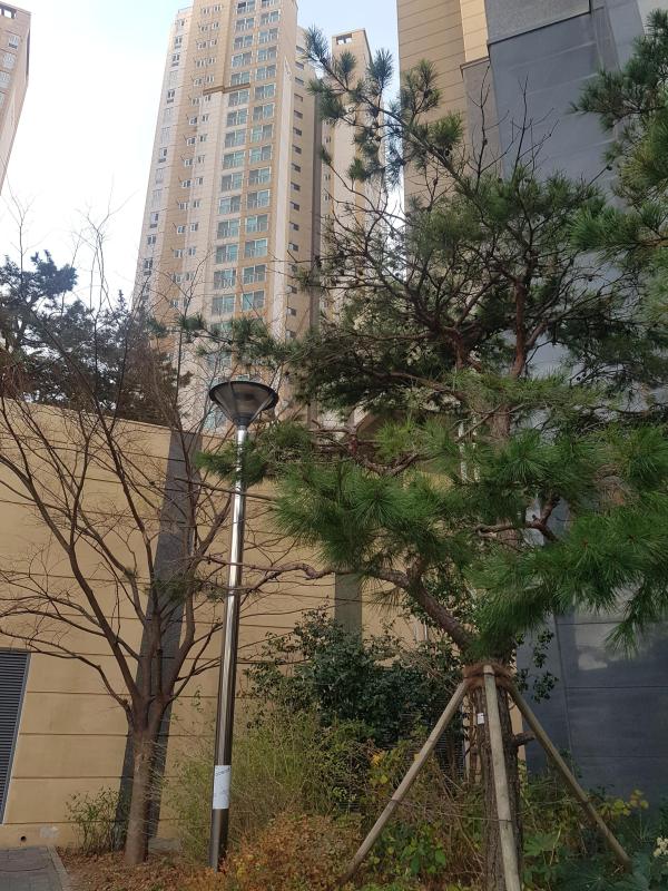 켄트