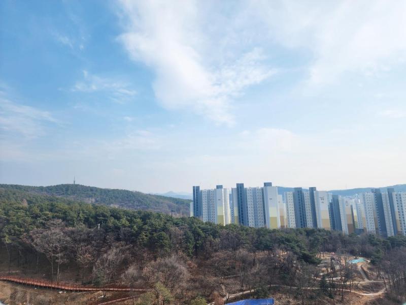 컨텐츠파일