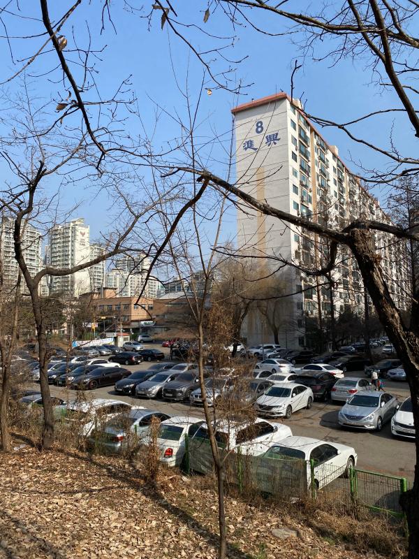 서초동주민