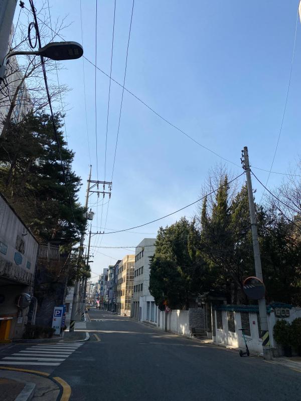 서초동주민