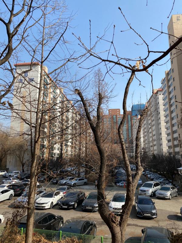 서초동주민
