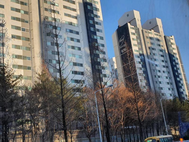 컨텐츠파일