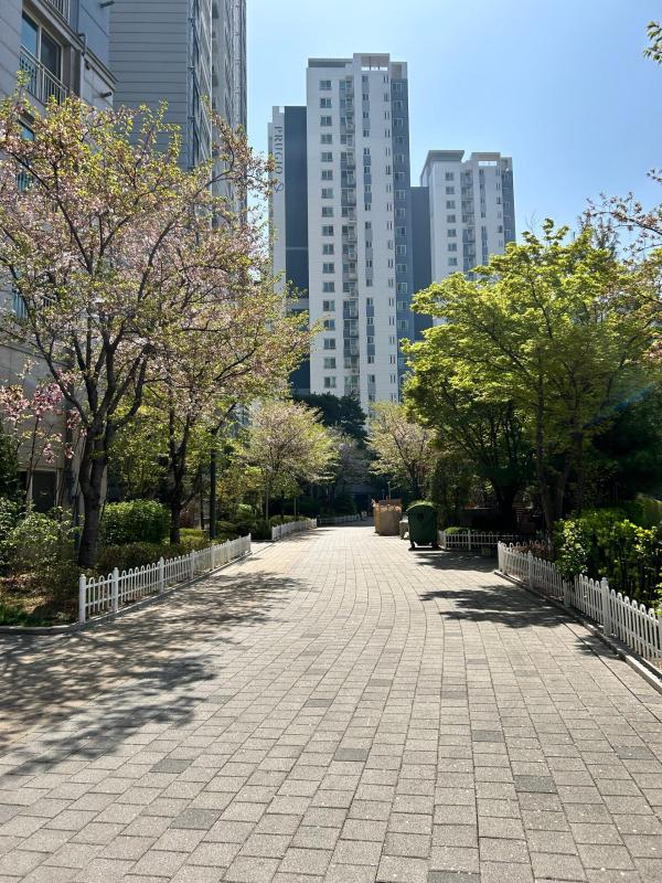 컨텐츠파일