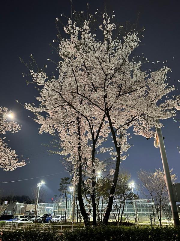 컨텐츠파일