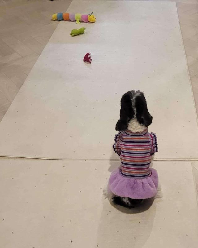 컨텐츠파일