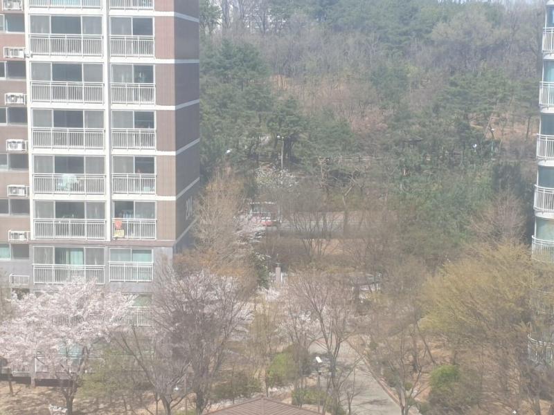 컨텐츠파일